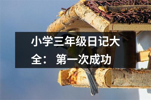小學(xué)三年級日記大全： 第一次成功