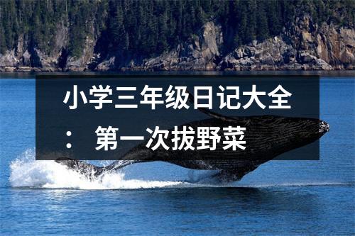 小學(xué)三年級日記大全： 第一次拔野菜