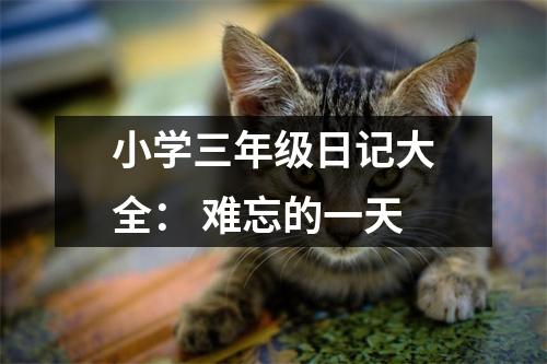 小學(xué)三年級日記大全： 難忘的一天