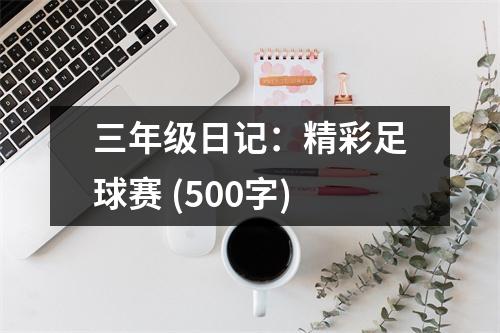 三年級日記：精彩足球賽 (500字)
