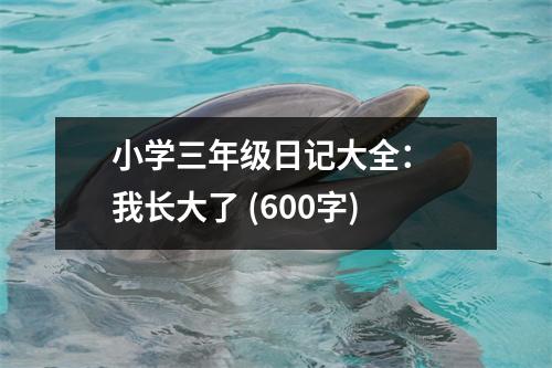 小學(xué)三年級日記大全： 我長大了 (600字)
