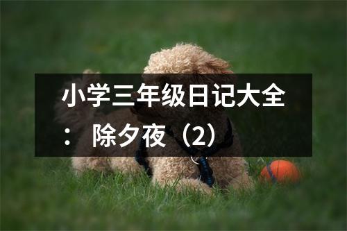 小學(xué)三年級(jí)日記大全： 除夕夜（2）