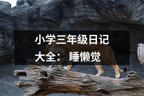 小學(xué)三年級日記大全： 睡懶覺