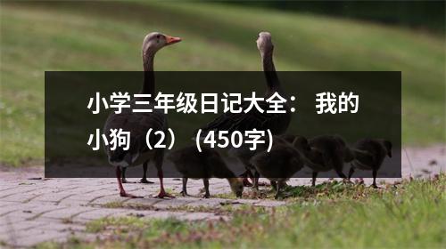 小學(xué)三年級(jí)日記大全： 我的小狗（2） (450字)