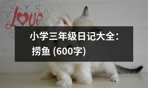 小學(xué)三年級日記大全： 撈魚 (600字)