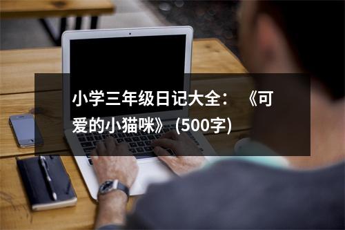 小學(xué)三年級日記大全： 《可愛的小貓咪》 (500字)
