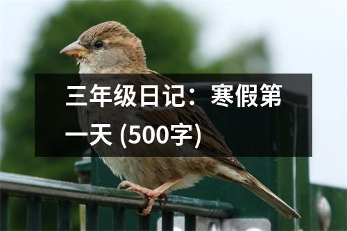 三年級日記：寒假第一天 (500字)