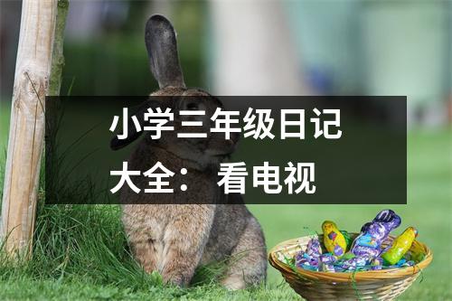 小學(xué)三年級(jí)日記大全： 看電視