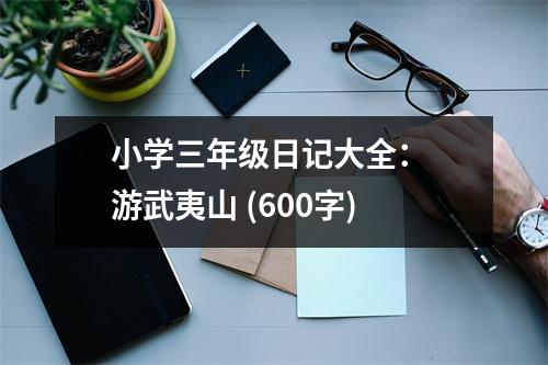 小學三年級日記大全： 游武夷山 (600字)