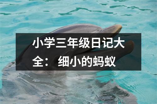 小學(xué)三年級日記大全： 細(xì)小的螞蟻