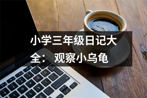 小學三年級日記大全： 觀察小烏龜