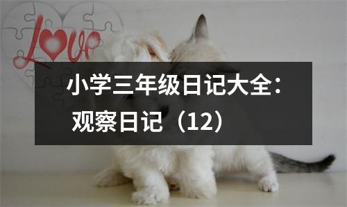 小學(xué)三年級日記大全： 觀察日記（12）