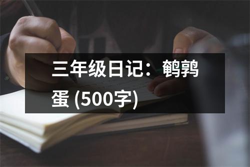 三年級日記：鵪鶉蛋 (500字)