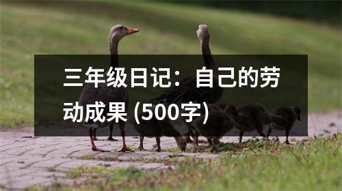 三年級日記：自己的勞動成果 (500字)