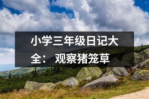 小學(xué)三年級日記大全： 觀察豬籠草