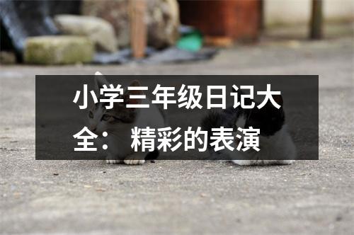 小學(xué)三年級日記大全： 精彩的表演