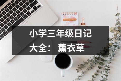 小學(xué)三年級(jí)日記大全： 薰衣草