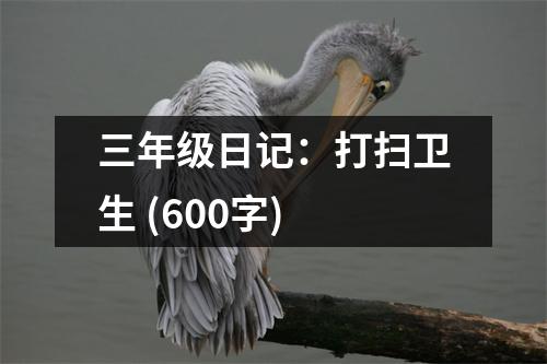 三年級(jí)日記：打掃衛(wèi)生 (600字)