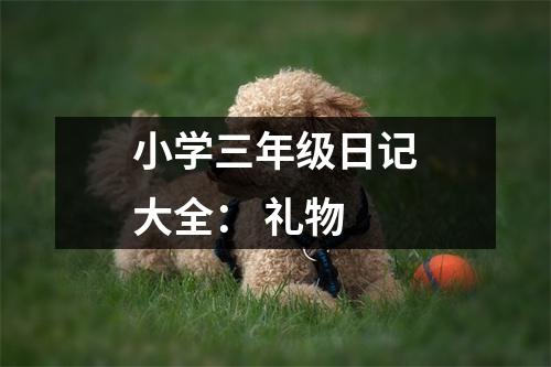 小學三年級日記大全： 禮物