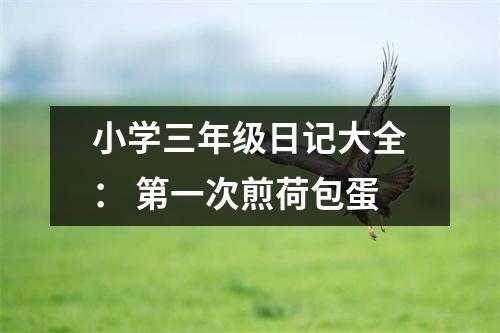 小學三年級日記大全： 第一次煎荷包蛋