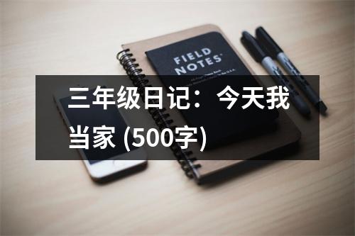 三年級日記：今天我當家 (500字)