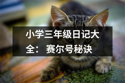 小學(xué)三年級(jí)日記大全： 賽爾號(hào)秘訣