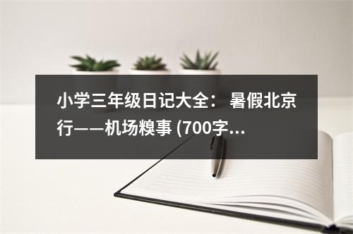 小學三年級日記大全： 暑假北京行——機場糗事 (700字)