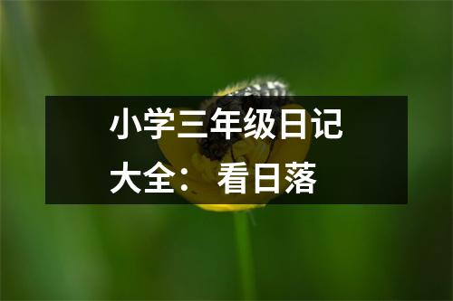 小學(xué)三年級(jí)日記大全： 看日落