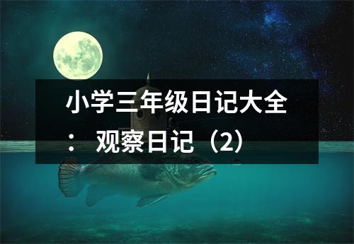 小學(xué)三年級(jí)日記大全： 觀察日記（2）