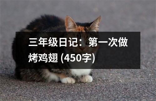 三年級(jí)日記：第一次做烤雞翅 (450字)