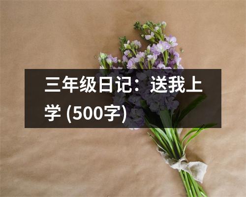三年級(jí)日記：送我上學(xué) (500字)