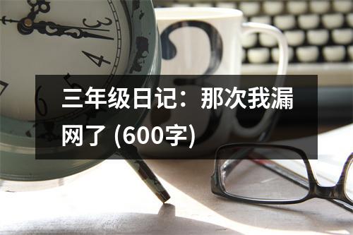 三年級(jí)日記：那次我漏網(wǎng)了 (600字)