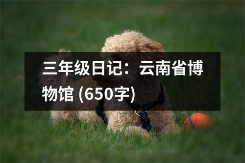 三年級(jí)日記：云南省博物館 (650字)