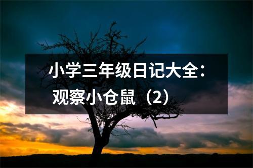 小學(xué)三年級(jí)日記大全： 觀察小倉(cāng)鼠（2）