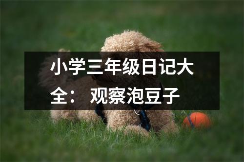 小學三年級日記大全： 觀察泡豆子