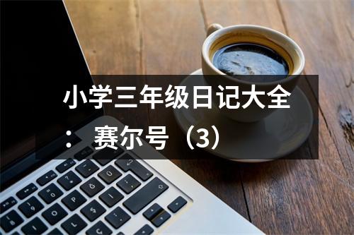 小學三年級日記大全： 賽爾號（3）