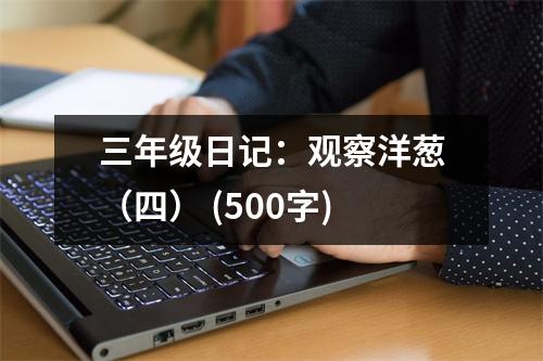 三年級日記：觀察洋蔥（四） (500字)