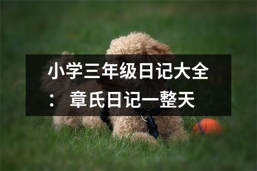 小學(xué)三年級(jí)日記大全： 章氏日記一整天