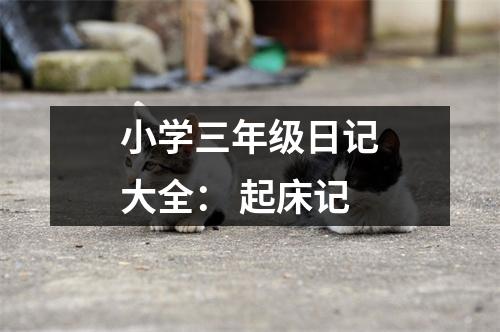 小學(xué)三年級(jí)日記大全： 起床記