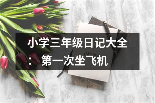 小學(xué)三年級(jí)日記大全： 第一次坐飛機(jī)