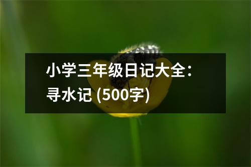 小學(xué)三年級(jí)日記大全： 尋水記 (500字)