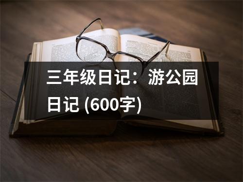 三年級日記：游公園日記 (600字)