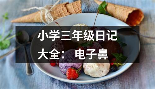 小學(xué)三年級日記大全： 電子鼻