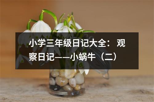 小學(xué)三年級日記大全： 觀察日記——小蝸牛（二）