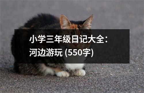 小學(xué)三年級日記大全： 河邊游玩 (550字)