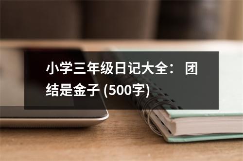小學(xué)三年級(jí)日記大全： 團(tuán)結(jié)是金子 (500字)