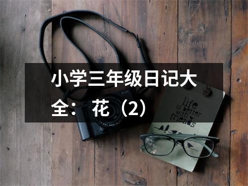 小學(xué)三年級(jí)日記大全： 花（2）