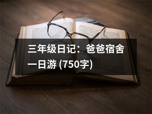 三年級日記：爸爸宿舍一日游 (750字)