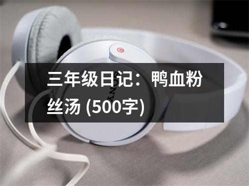 三年級日記：鴨血粉絲湯 (500字)