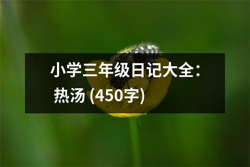 小學(xué)三年級日記大全： 熱湯 (450字)
